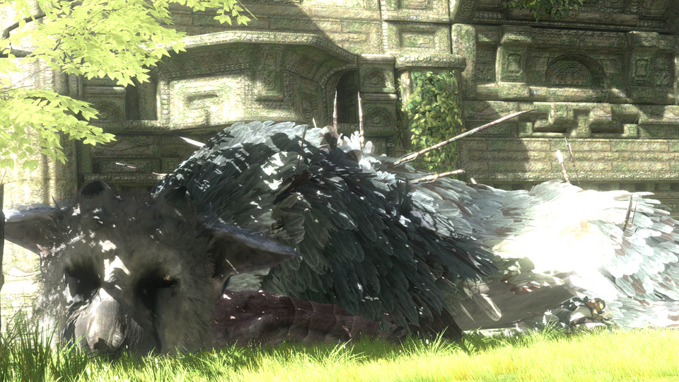 trico01.jpg
