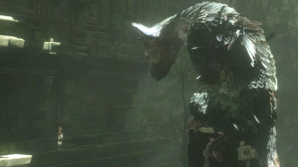 trico10.jpg