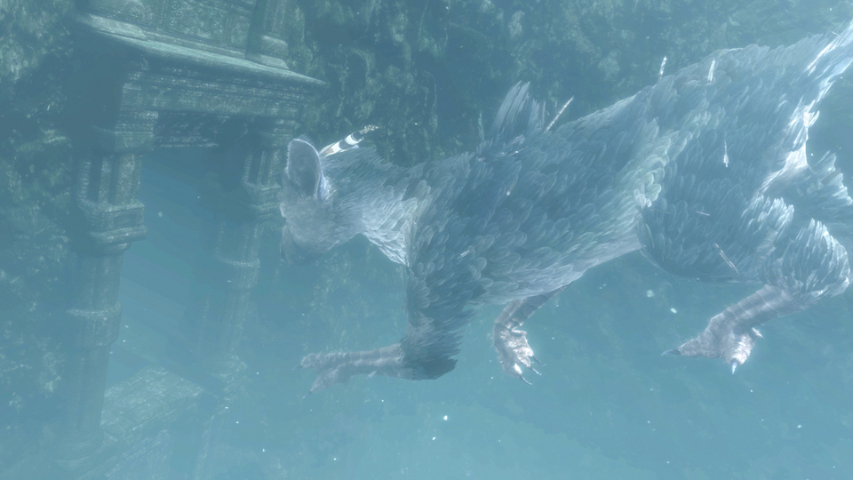trico11.jpg