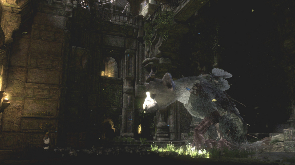 trico12.jpg