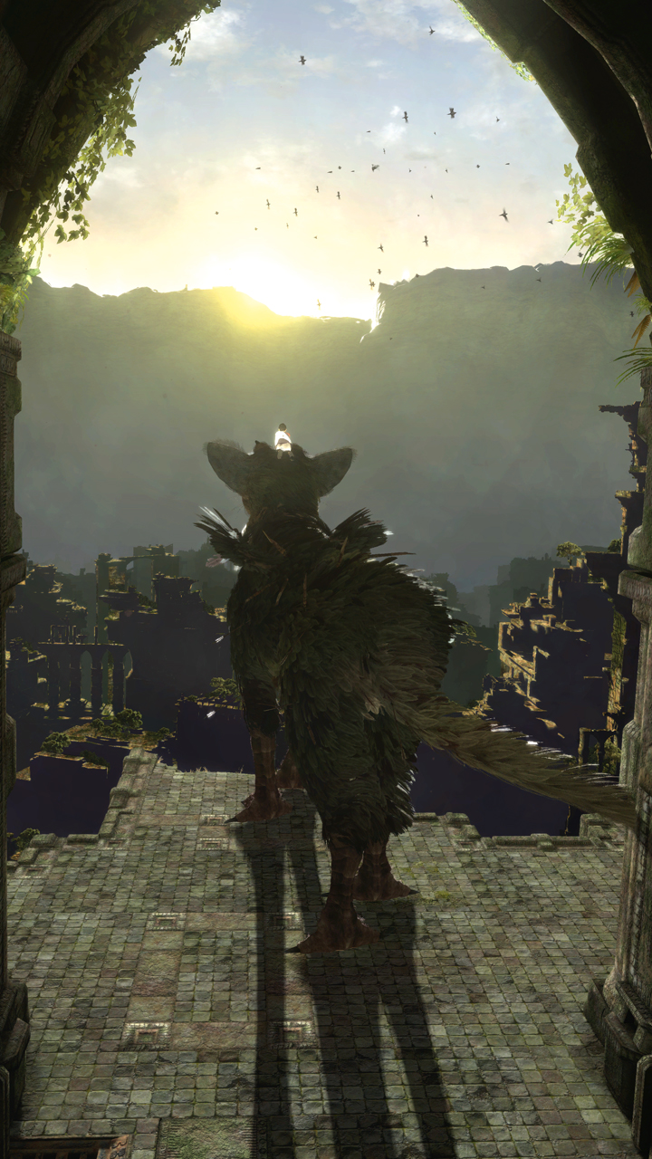 trico02.jpg