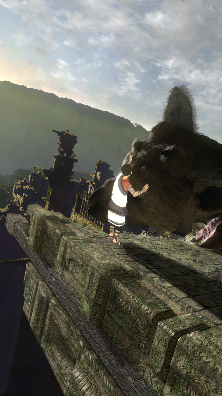 trico03.jpg