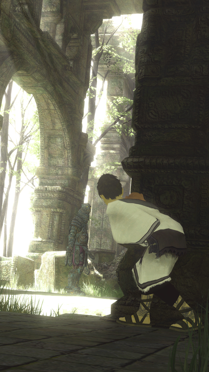 trico04.jpg
