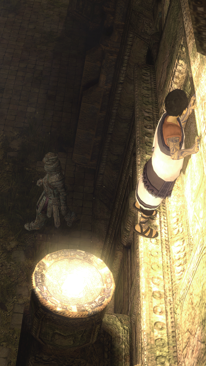 trico05.jpg