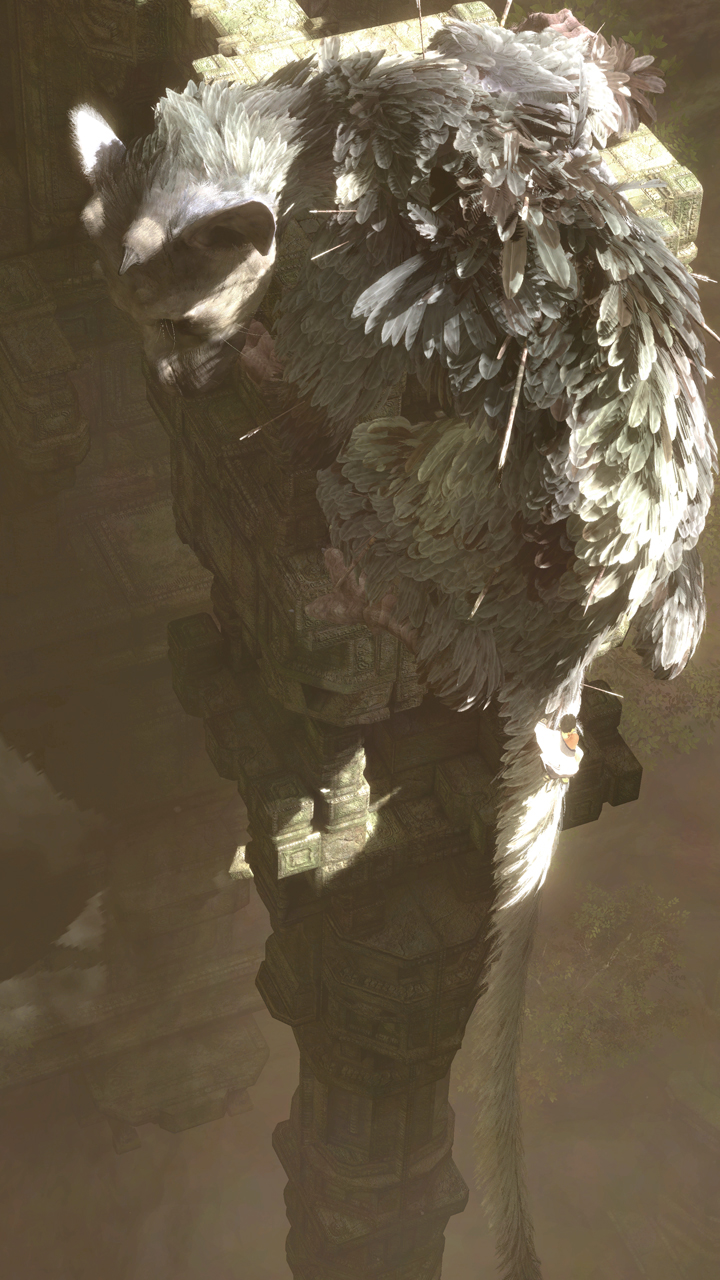 trico06.jpg