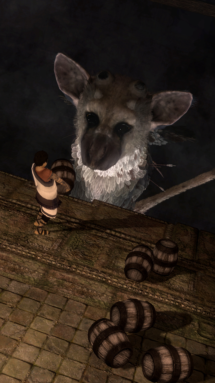 trico07.jpg