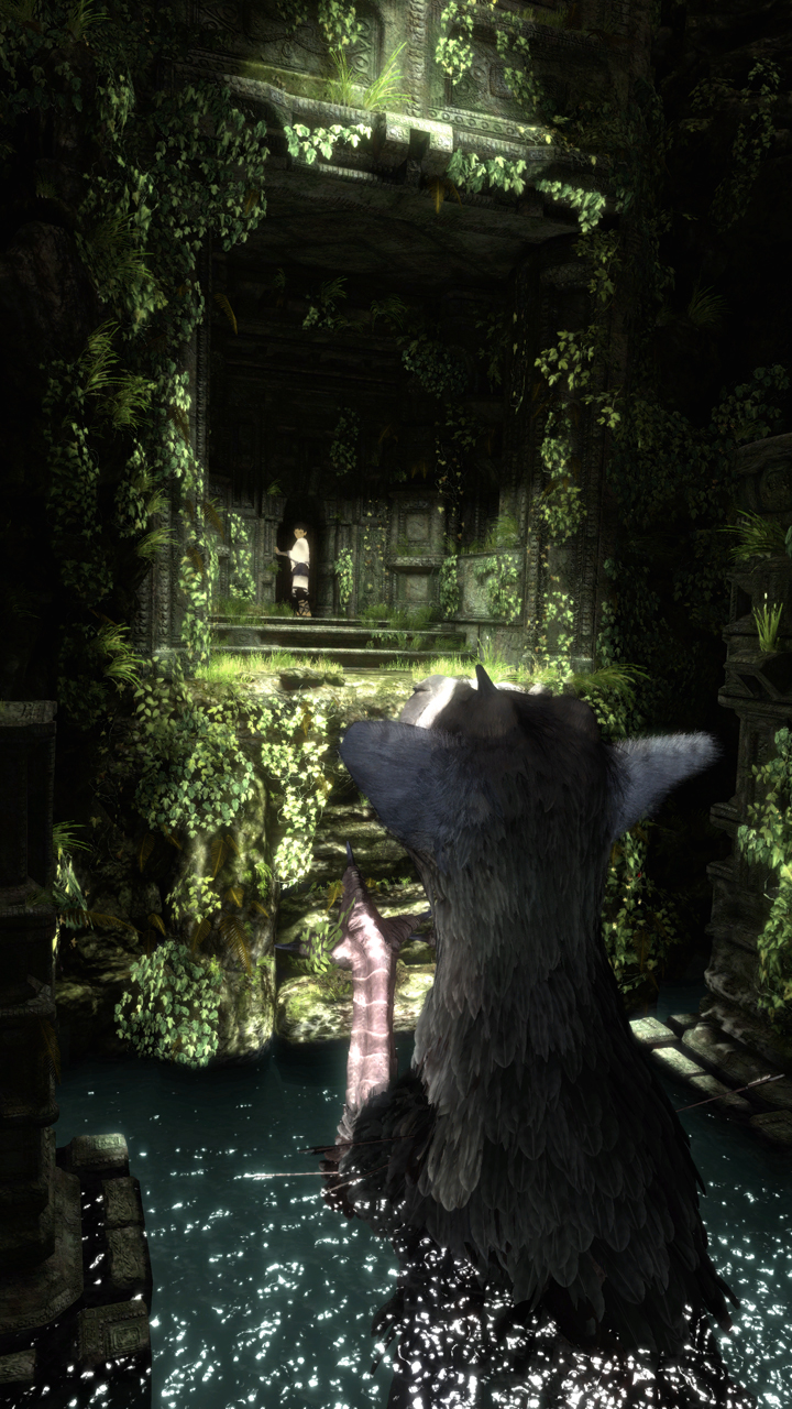 trico08.jpg